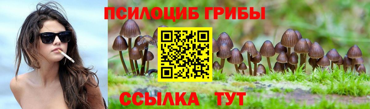 Галлюциногенные грибы Magic Shrooms  Вход с VPN  Обнинск  Галлюциногенные грибы мицелий 